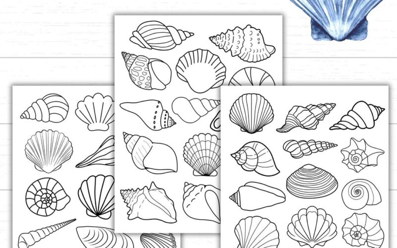 Printable Seashell Coloring Pages Seashell Templates For Crafts And Activities Beach Printables For Kids Ocean Themed Unit Shell Crafts Etsy