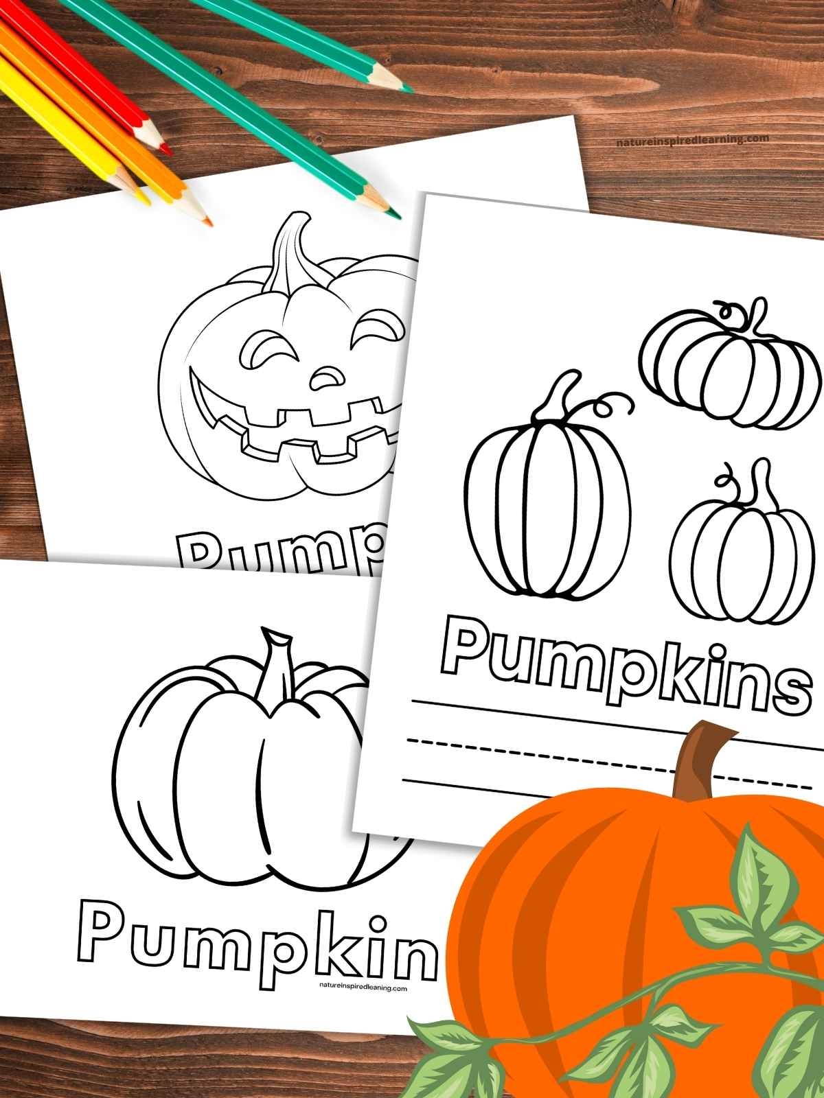 coloring pages of pumpkins