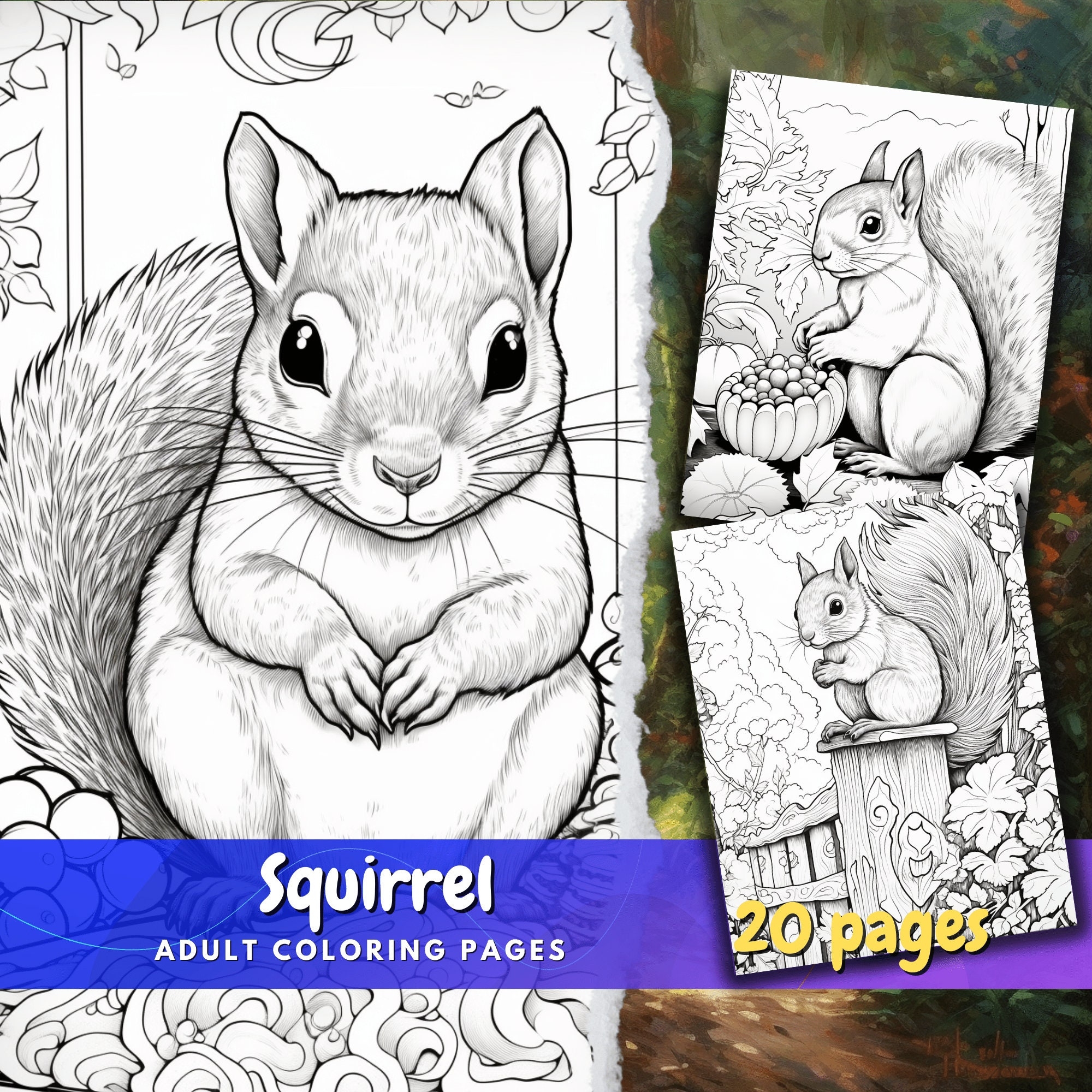 Realistic Squirrel Grayscale Coloring Page Adult Animal Coloring PDF Instant Download Printable Line Art Etsy