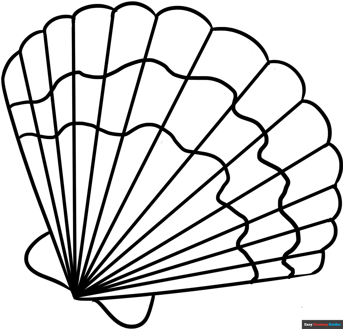 Seashell Coloring Page Easy Drawing Guides Seashell Coloring Page Easy Drawing Guides
