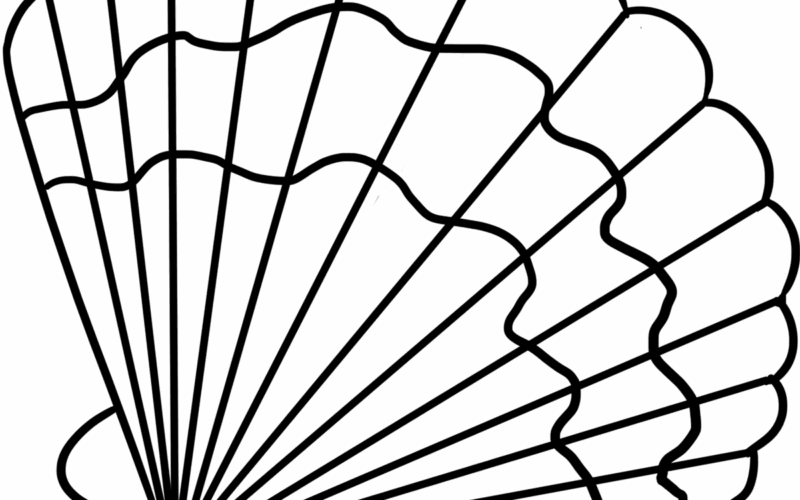Seashell Coloring Page Easy Drawing Guides