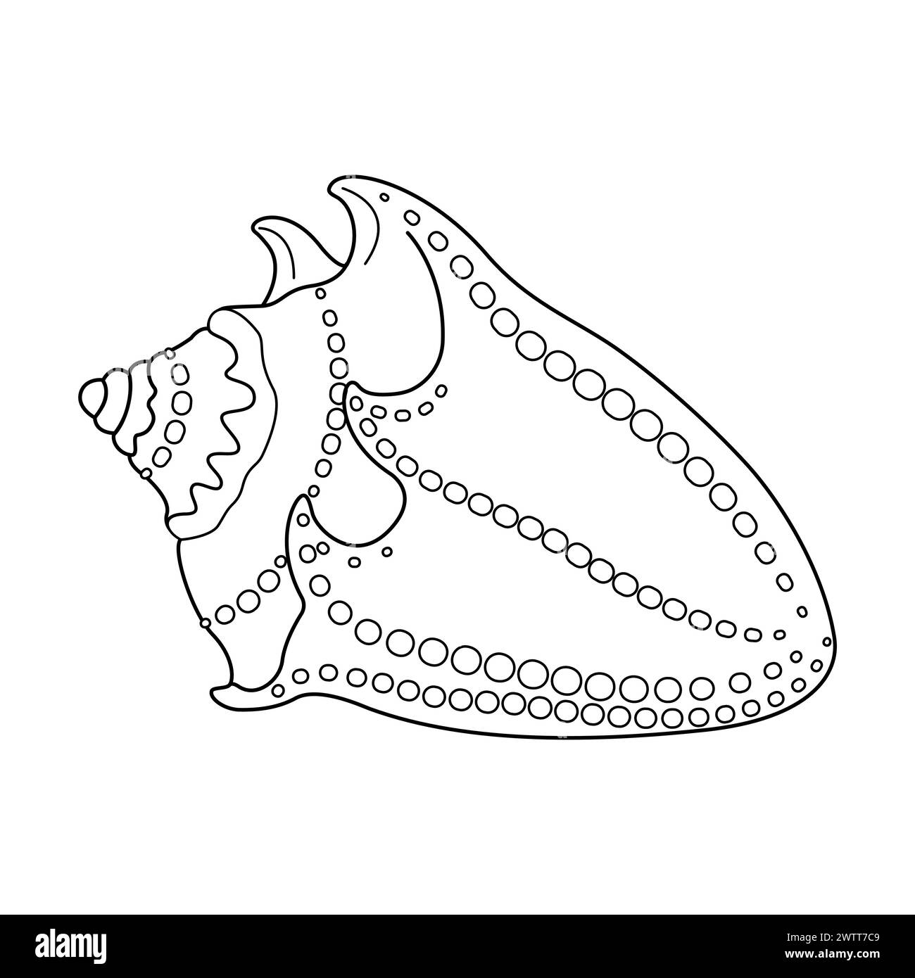seashell coloring pages seashell coloring pages