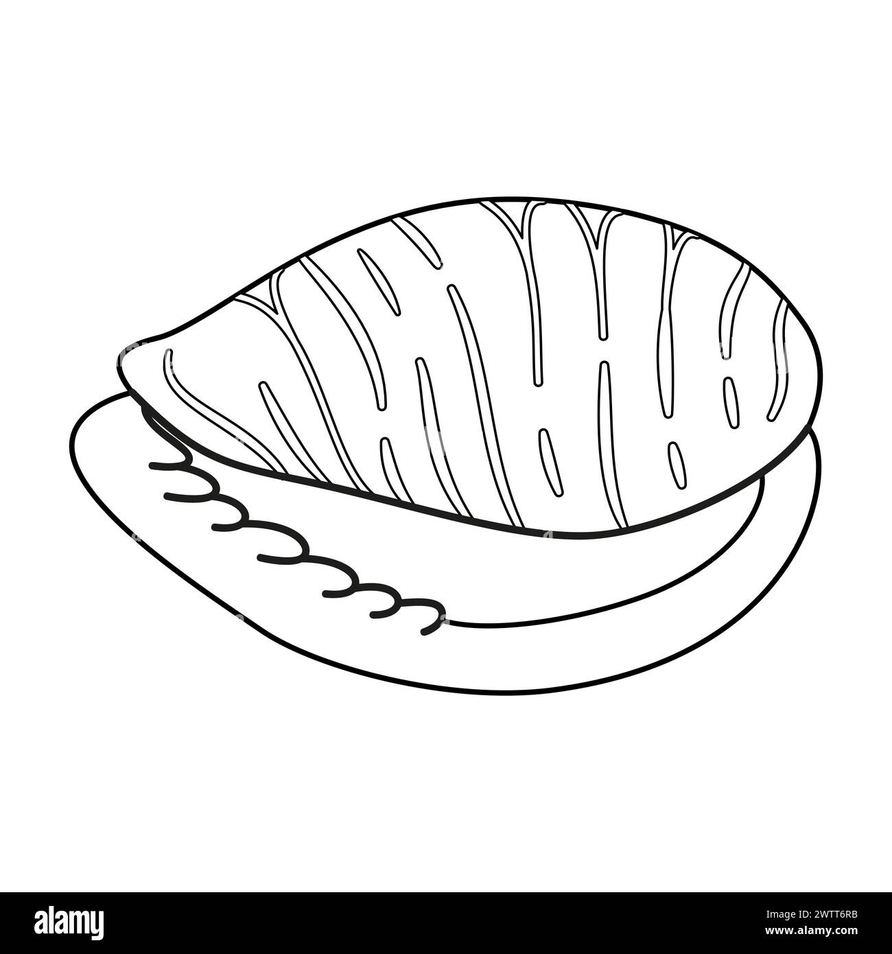 Seashell Vector Illustration Black And White Outline Seashell Coloring Page For Kids And Adults Page For Relaxation And Meditation Vector Illustration Stock Vector Image Art Alamy