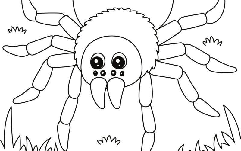 Spider Coloring Page DIGITAL DOWNLOAD Printable Coloring Page Etsy
