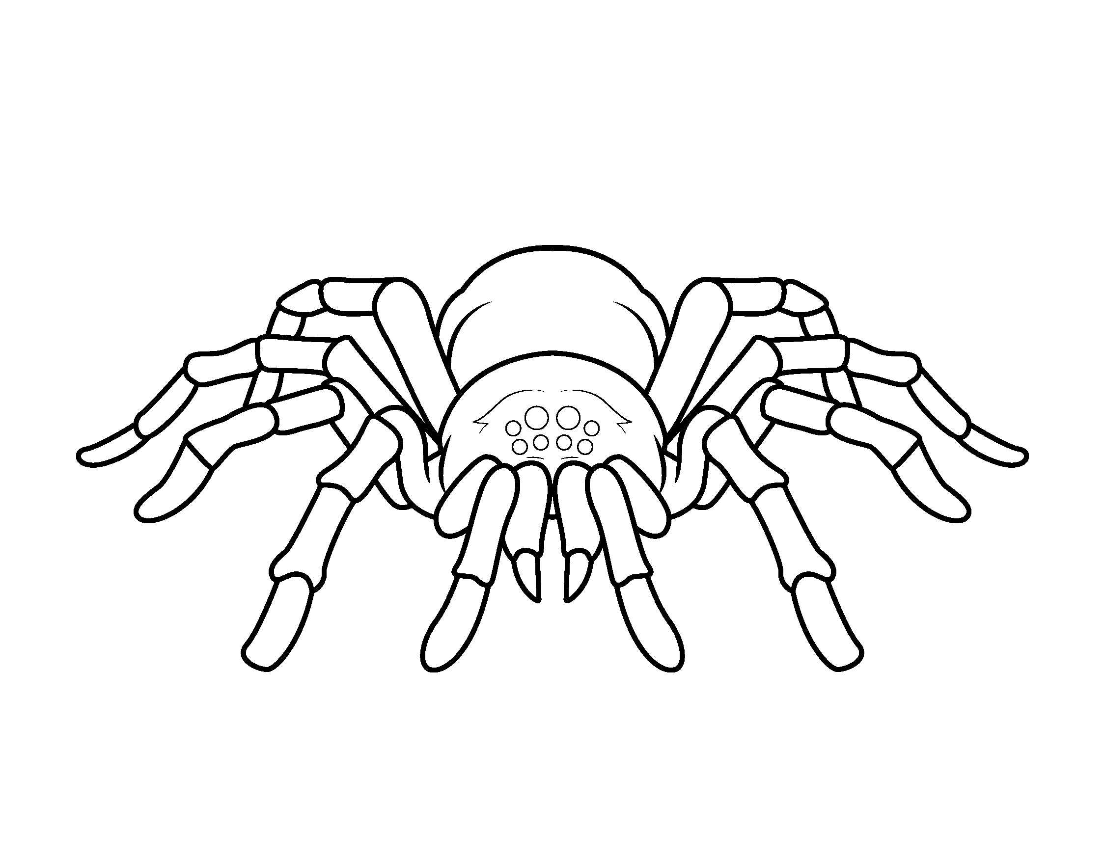 spider coloring page