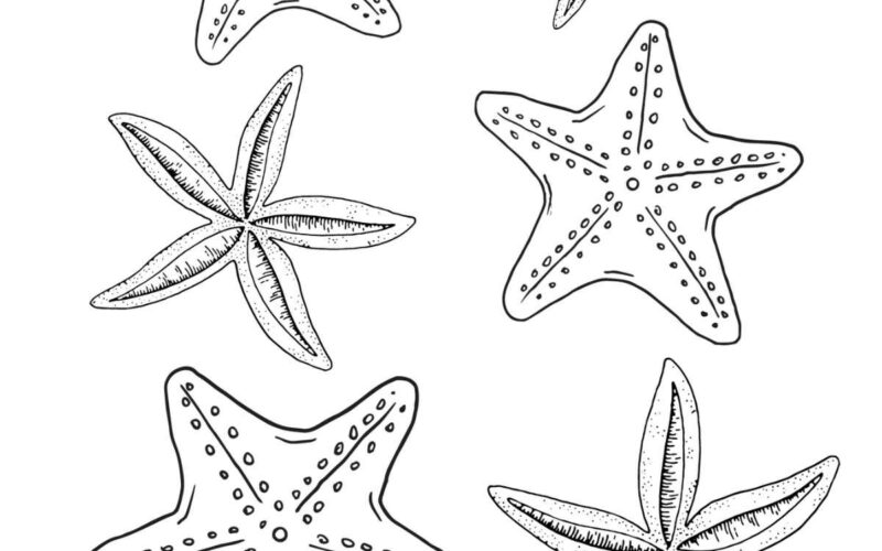 Starfish Coloring Pages Nature Inspired Learning