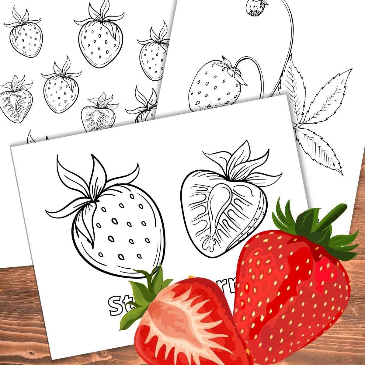Strawberry Coloring Pages Nature Inspired Learning