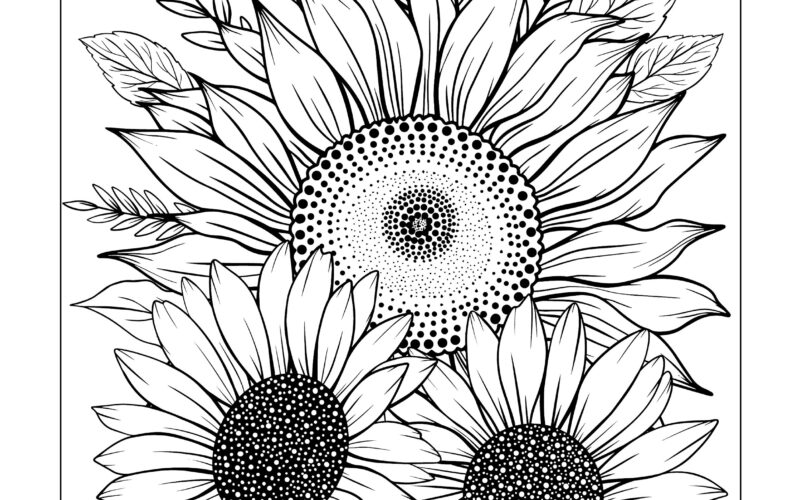Sunflower Sunflower Colouring Sheet Sunflower Coloring Download Colouring Colour Therapy Etsy