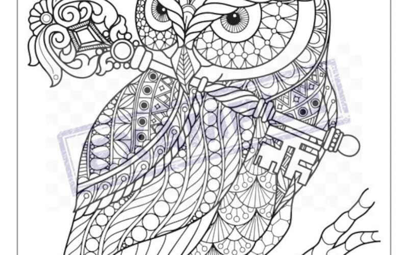 Unique Detailed Coloring Pages PDF 21 Full 8x11 Great For Kids Teens Or Adults Etsy