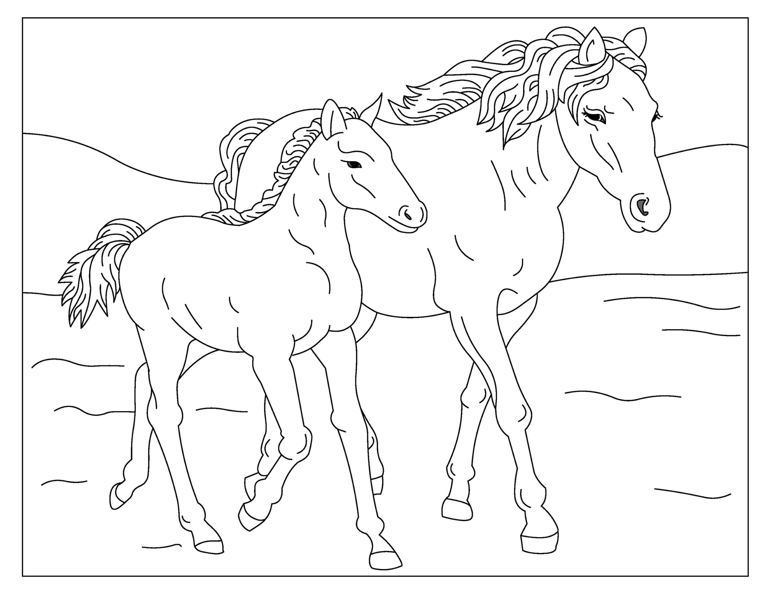horses coloring pages