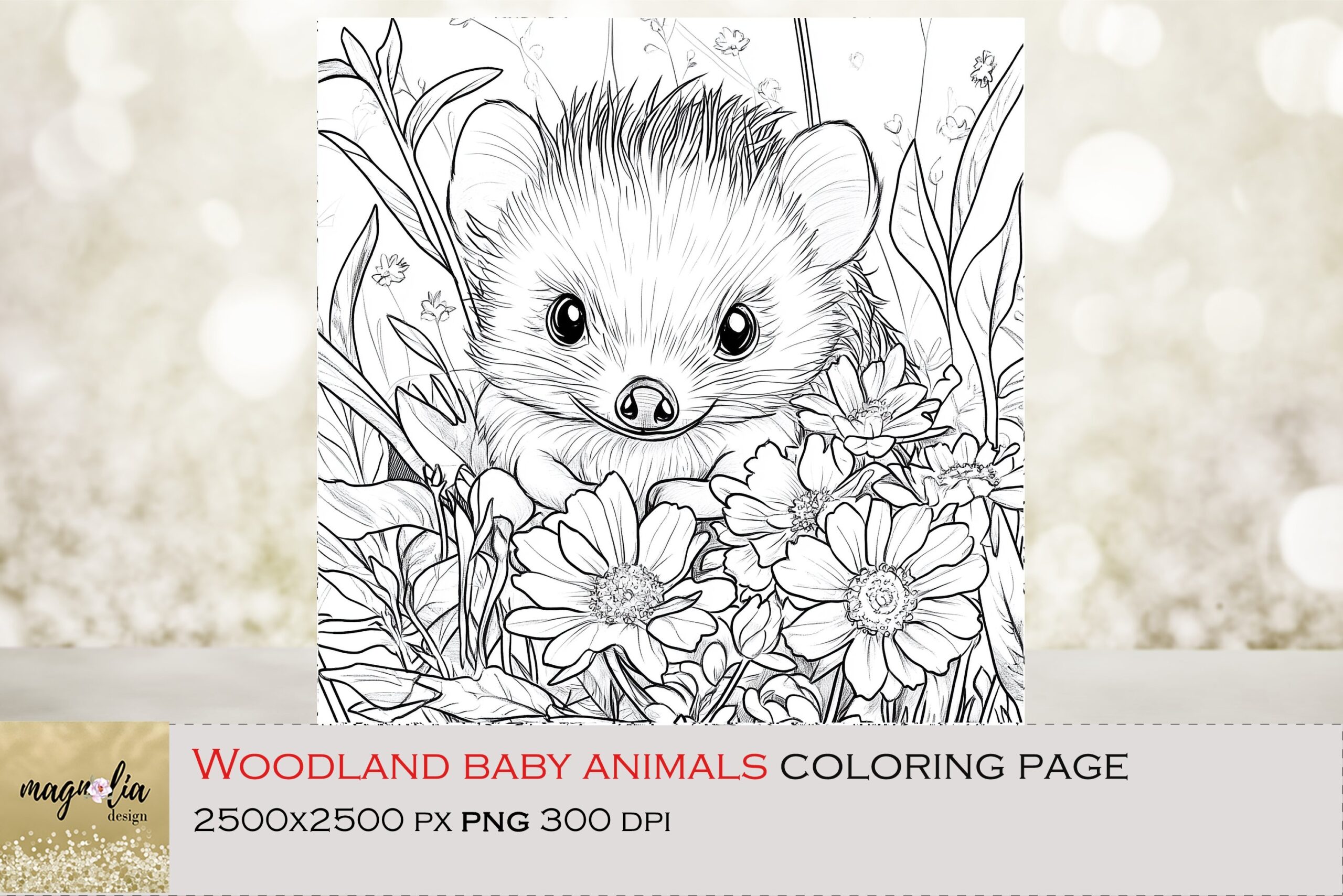 hedgehog coloring page