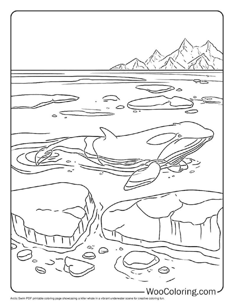 100 Killer Whale Coloring Pages Free PDF To Print Woo Coloring
