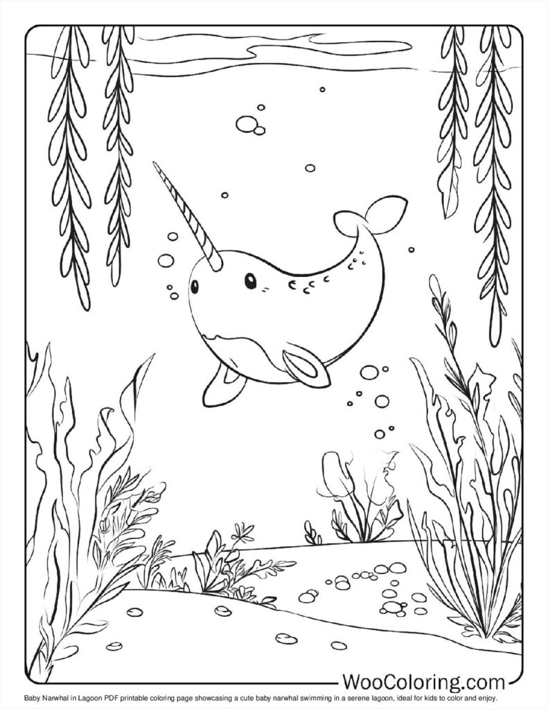 100 Narwhal Coloring Pages Free PDF To Print Woo Coloring