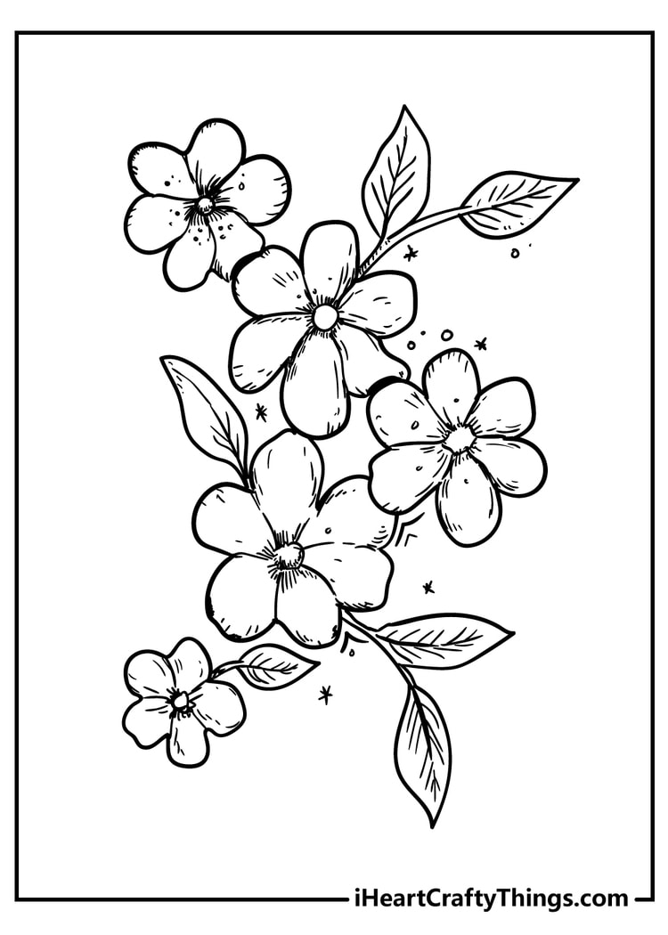 printable coloring pages of flowers
