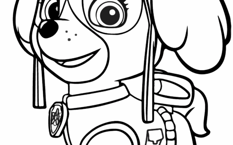 60 Cute Paw Patrol Skye Coloring Pages Free Artsy Pretty Colors