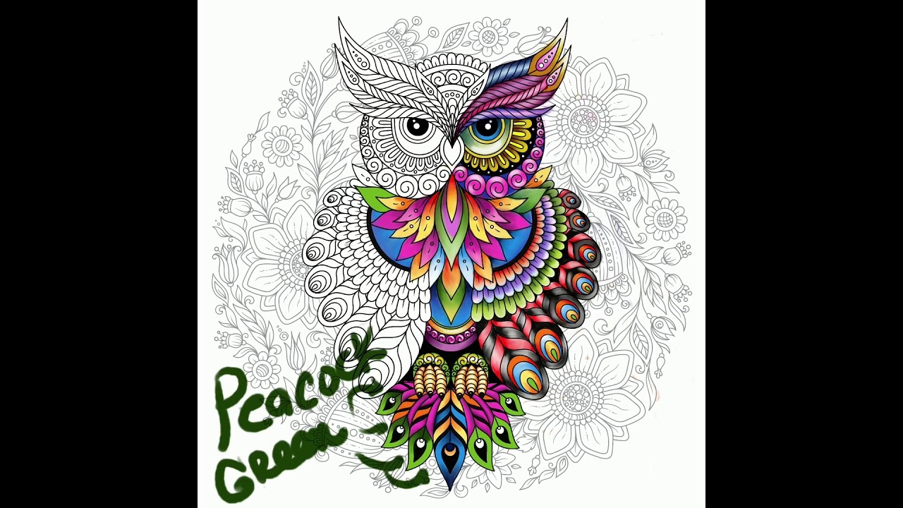 Coloring A Owl Lisa Brando Owl Coloring Page 1 Prismacolor Procreate YouTube