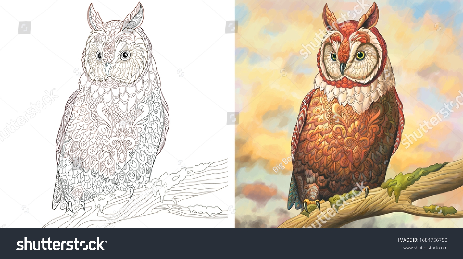 Coloring Pages Owl Bird Colorless Color Stock Vector Royalty Free 1684756750 Shutterstock