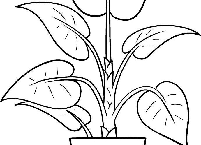Free Plant Coloring Page