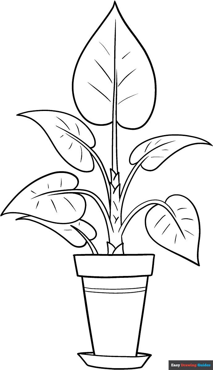 Free Plant Coloring Page