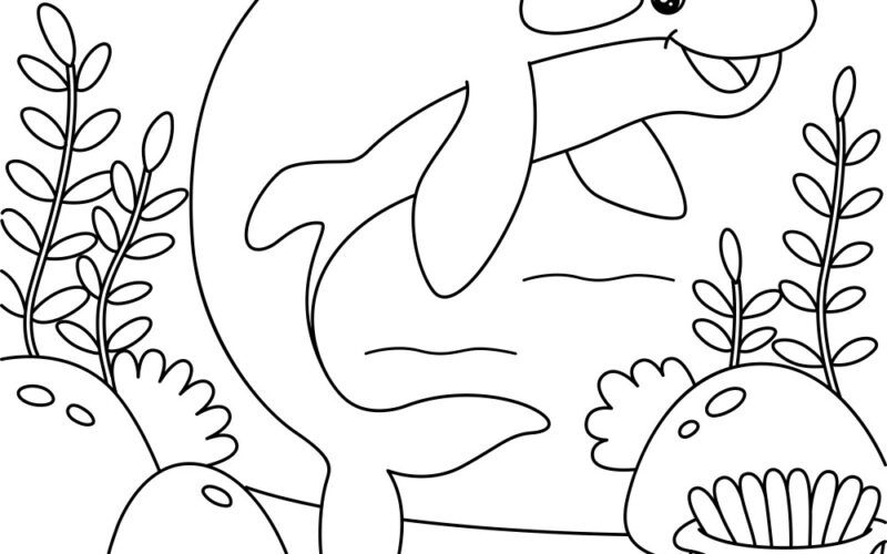 Killer Whale Coloring Page For Kids Royalty Free Vector