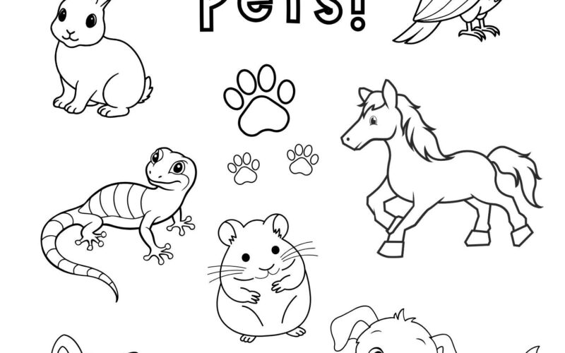Pets Coloring Page