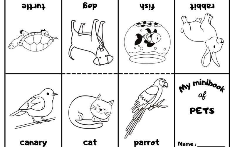 Pets Mini Coloring Book Ezpzlearn