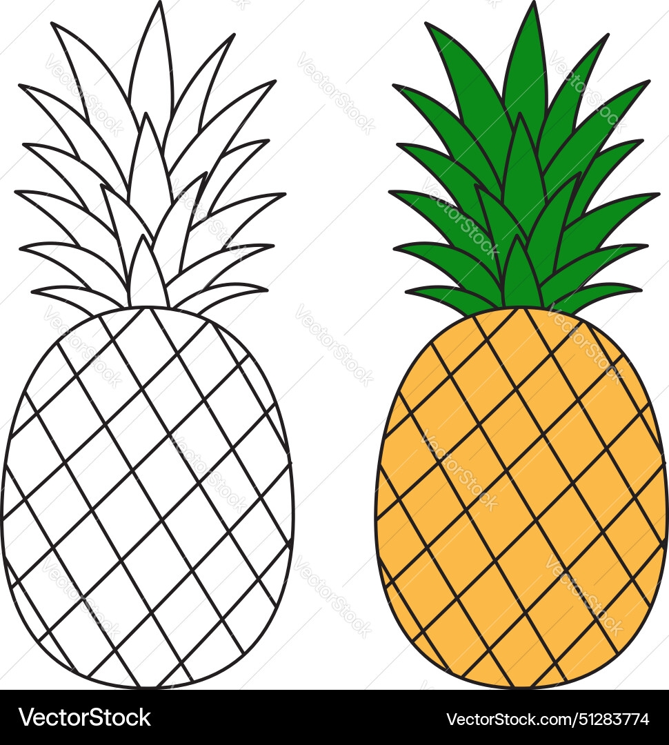 Pineapple Coloring Page Summer Colouring Vector Image