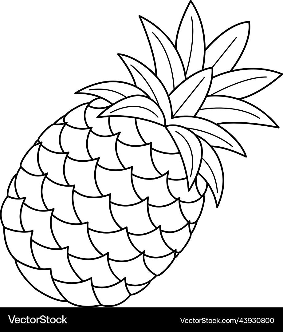 Pineapple Fruit Isolated Coloring Page For Kids Vector Image