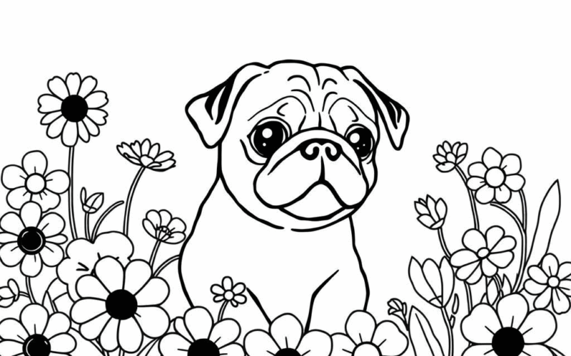 Pug Dog Coloring Page Free Printable Coloring Page